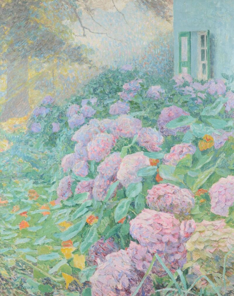 Hydrangeas around Villa Zonneschijn (Villa Sunshine) - RES collection